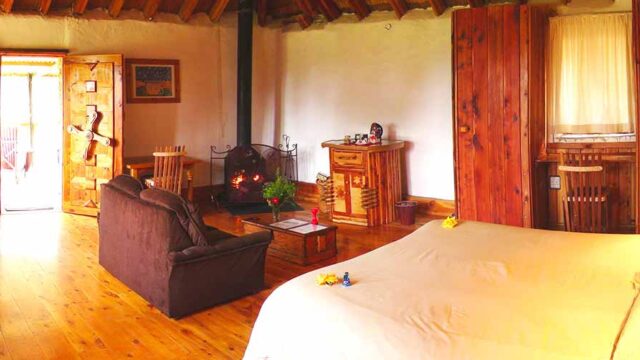 mountain-view-pet-friendly-bedroom