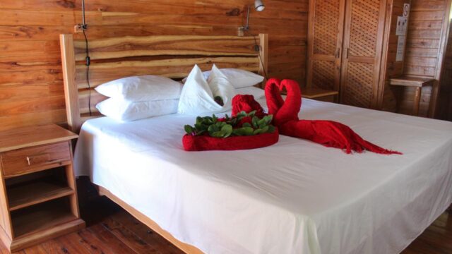 IMG-20250612-WA0011