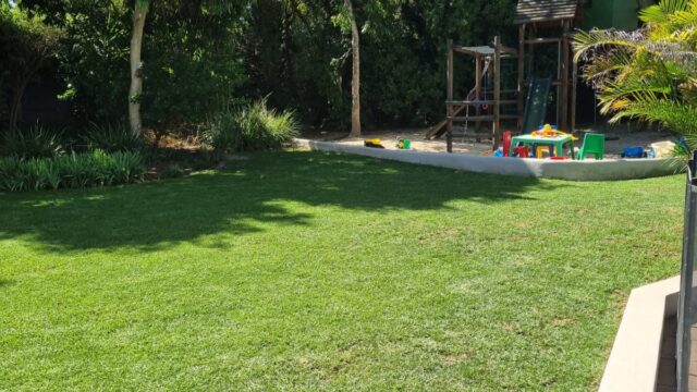 IMG-20250617-WA0121
