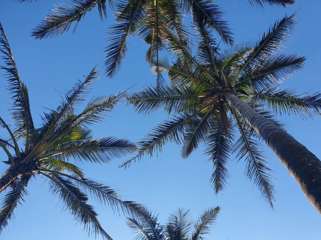 IMG-20250701-WA0092