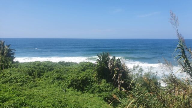 IMG-20250701-WA0094