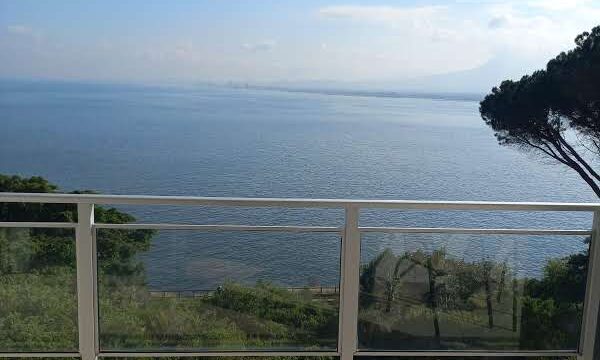 IMG-20250815-WA0068