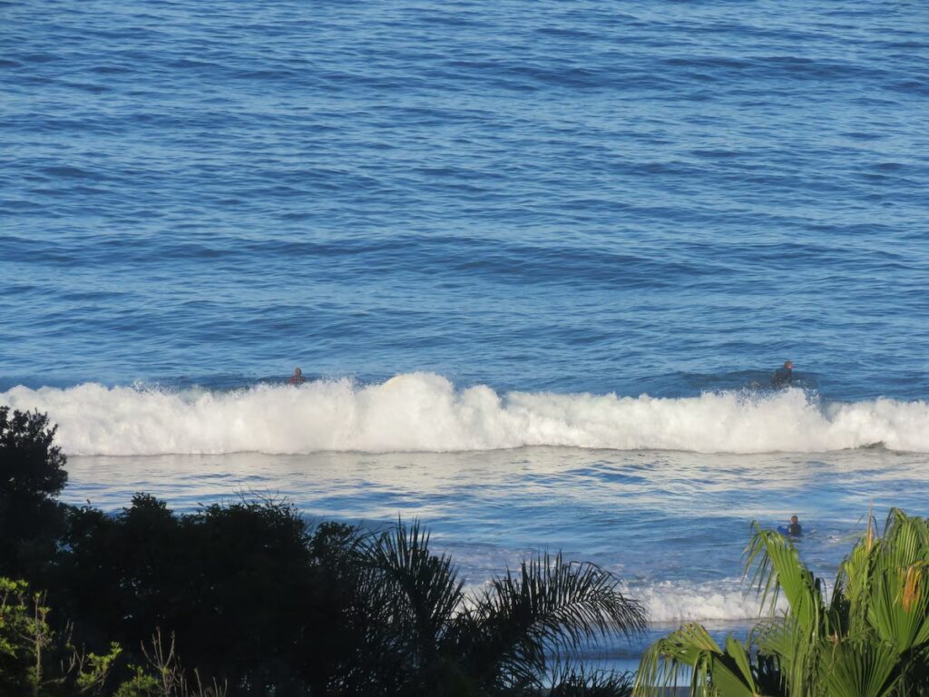 imgi_150_f2de305f-dc24-4df5-9871-c89ac64b94eb