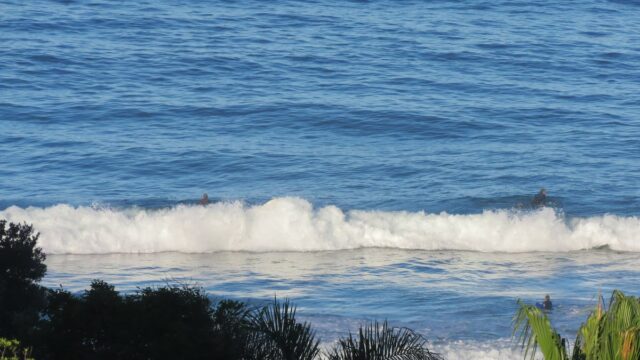 imgi_150_f2de305f-dc24-4df5-9871-c89ac64b94eb