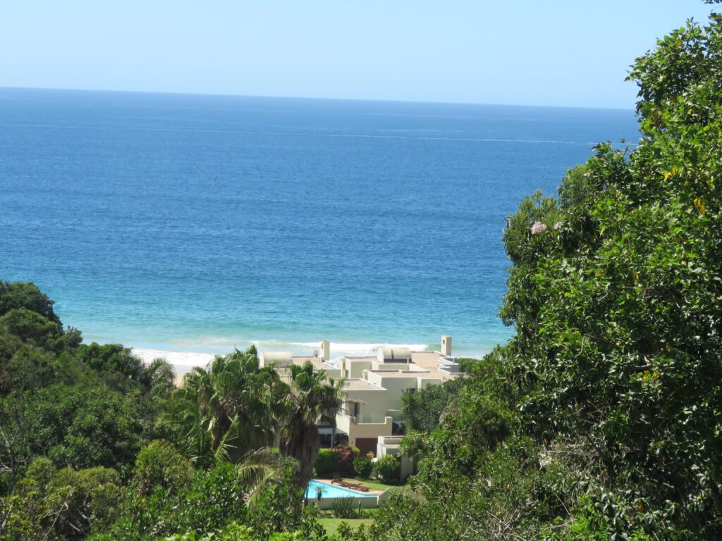 imgi_151_7817f2a2-325c-4cca-9d2a-bfcefcfe8b1a