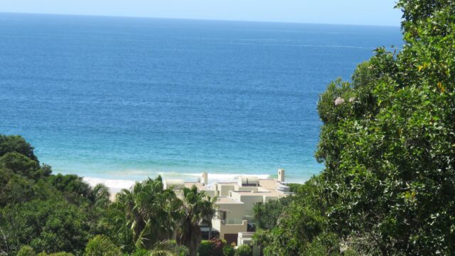 imgi_151_7817f2a2-325c-4cca-9d2a-bfcefcfe8b1a