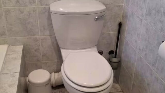 imgi_73_AAEAAQAAAAAAAAAAAAAA3236b67f1507dddb86b9750920ebbcd2e021509f2342fbfc887595792a2f10f82a22808853cca2f635256d22ee9c4d728418