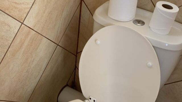 IMG-20260824-WA0065
