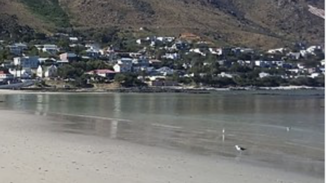 Seashore copy
